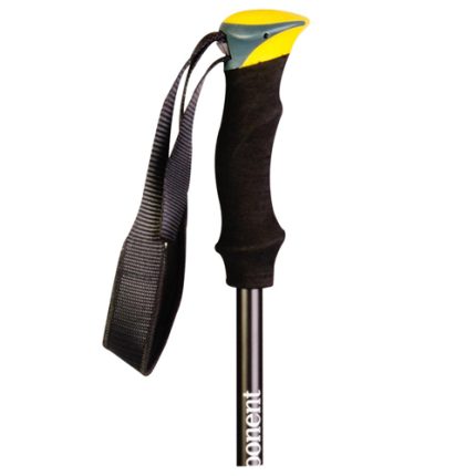 عصا کوهنوردی اکسپوننت