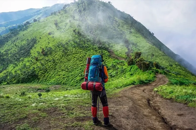 آشنایی با طبیعت گردی