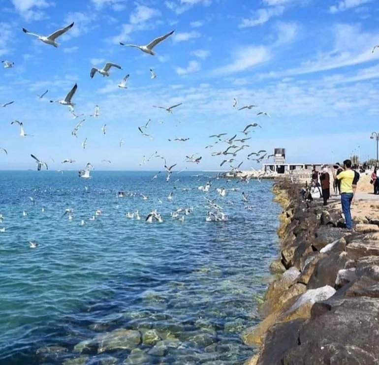 طبیعت گردی جنوب ایران در پاییز