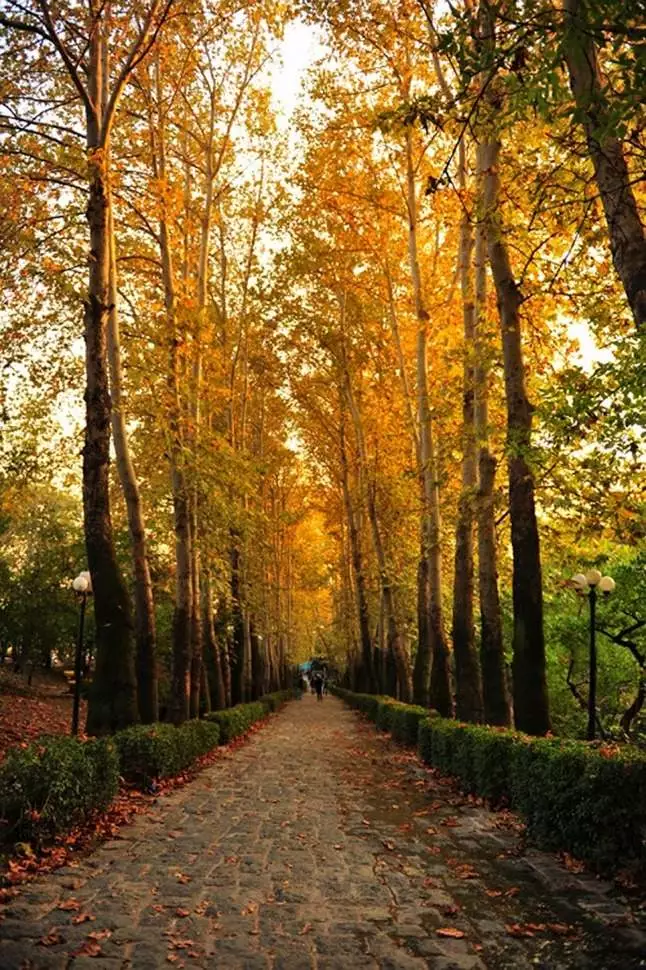 طبیعت گردی در تهران در فصل پاییز
