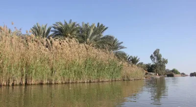 طبیعت گردی جنوب ایران در پاییز