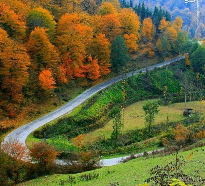 طبیعت شمال