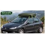 باکس برزنتی سقفی خودرو 206 Roof Car Bag
